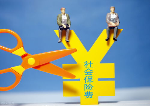 车辆保险费,进项税额能否扣除